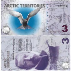 Ártico 3 Polar 2011 FE Polím