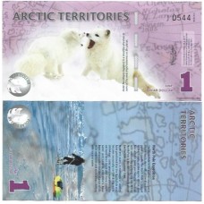 Ártico 1 Polar 2012 FE Polím