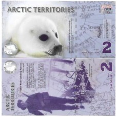 Ártico 2 Polar 2010 FE Polím