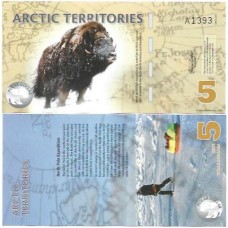 Ártico 5 Polar 2012 FE Polím