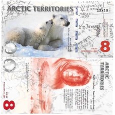 Ártico 8 Polar 2011 FE Polím