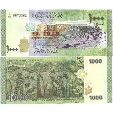 Siria Syria 1.000 Pounds 2013 FE P-116a