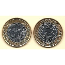 ZM - 1 Real 2014 Olimpíadas Natação Nova (SFC)